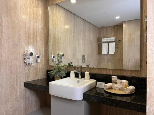 La salle de bains est pourvue d'un lavabo blanc et d'un miroir. dans l'établissement Eurobuilding Express Maracay, à Maracay