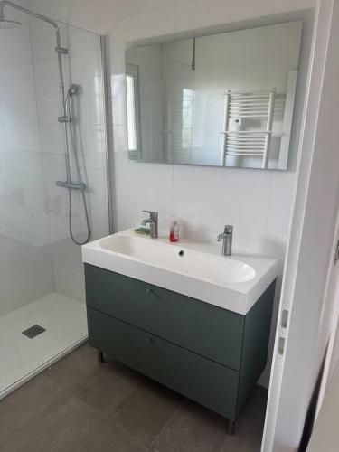 une salle de bain avec un lavabo, un miroir et une douche dans l'établissement Maison 100m2 4 chambres avec piscine jardin paysage, à Gujan-Mestras