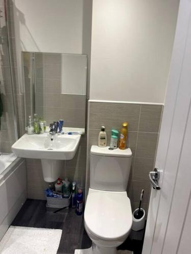 a bathroom with a toilet and a sink at Capewell Gibson House in Rotherham