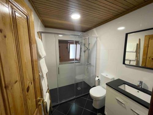 a bathroom with a shower and a toilet and a sink at Petra's House Gerês in Geres