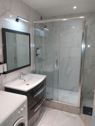 a bathroom with a shower and a sink and a mirror at Peaceful home in Sevran