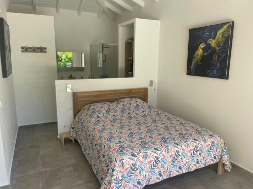 a bedroom with a bed and a mirror at Villa Tropic' Al. Piscine privée. Cuve à eau in Saint-François