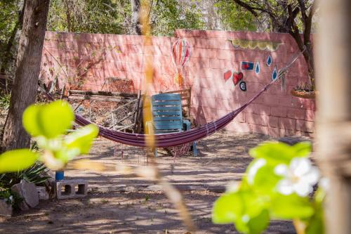 Un jardín fuera de El Viaje Hostel