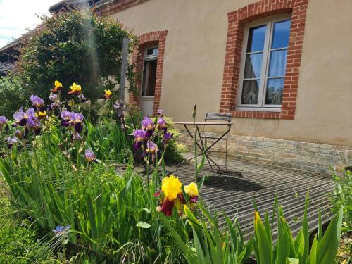 un jardin fleuri devant une maison dans l'établissement Longère sarthoise rénovée, à 20 min du Mans, 4 chambres, poêle à granulés, parking privé - FR-1-410-376, à Connerré