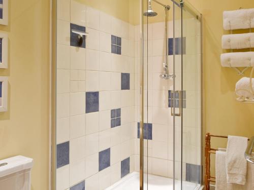 a bathroom with a shower with blue and white tiles at Darwin Cottage - E4509 in Jevington