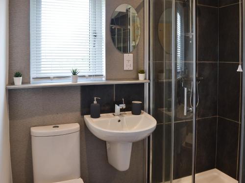 a bathroom with a toilet and a sink and a shower at Lambs Cottage in Culmstock