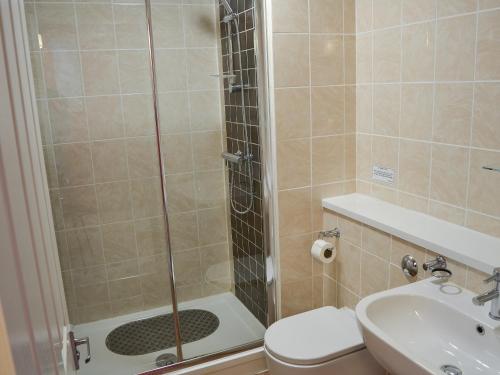 a bathroom with a shower and a toilet and a sink at Kestrel Cottage in Horning