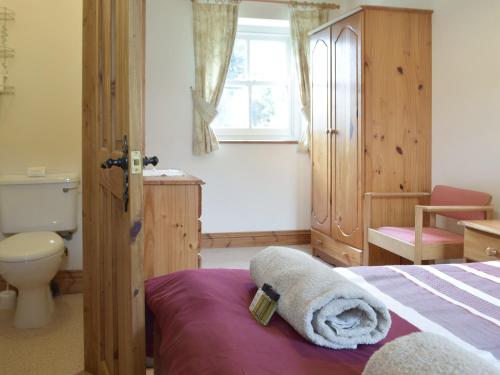 a bedroom with a bed and a toilet and a window at Cothi Cottage in Llanfynydd