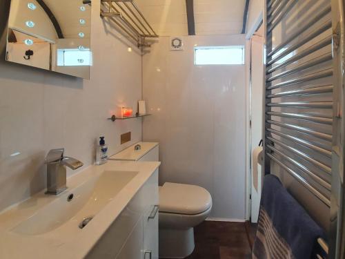 a bathroom with a toilet and a sink at Elsie in Blue Anchor