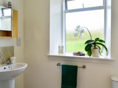 a bathroom with a sink and a window with a plant at Craigrannoch Cottage in Rockcliffe