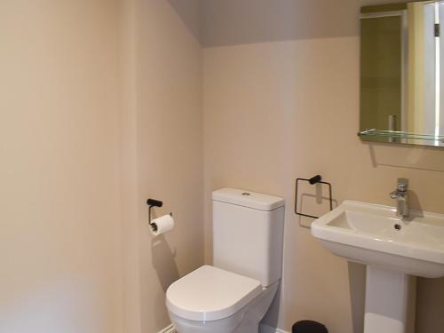 y baño con aseo blanco y lavamanos. en Faodail-uk34218 en Aberfoyle