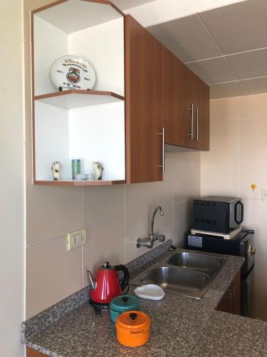 La cuisine est équipée d'un évier et d'un four micro-ondes. dans l'établissement Familiar y acogedor, à La Paz
