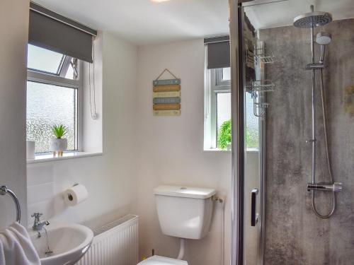 a bathroom with a shower and a toilet and a sink at Bryn Melyn - Uk6518 in Frongoch