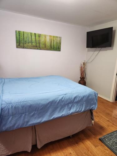 a bedroom with a bed and a flat screen tv at Winnipeg Place to Stay in Winnipeg