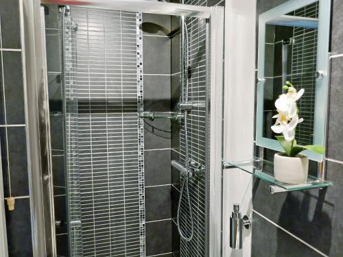 a shower with glass doors and a plant on a shelf at Kingfisher Cottage in Amble