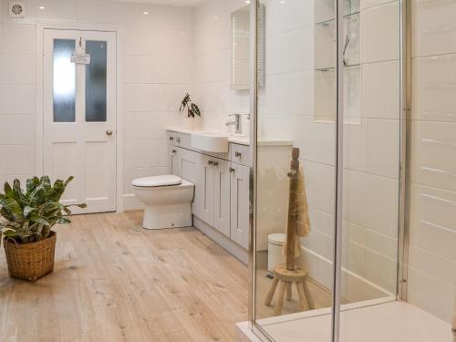 a bathroom with a shower and a toilet and a sink at School Cottage in Lowthorpe