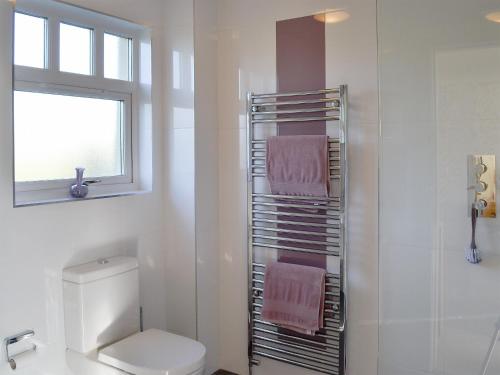 a bathroom with a towel rack next to a toilet at Seaward in Portpatrick