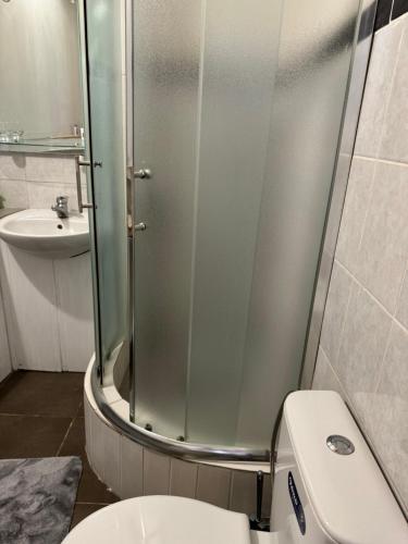 uma casa de banho com um chuveiro, um WC e um lavatório. em Apartments Airport Golubovci 2 em Podgorica