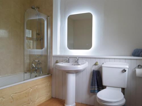 a bathroom with a toilet and a sink and a mirror at The Farmhouse - Uk13183 in Cwm-Morgan