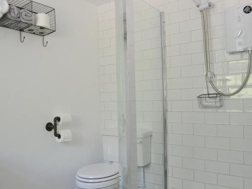 a white bathroom with a shower and a toilet at Bryn Awel in Moelfre
