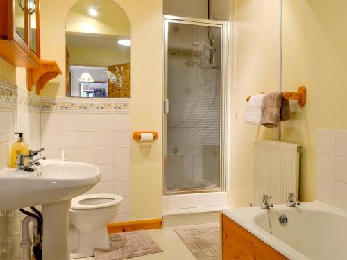 a bathroom with a sink and a toilet and a shower at Bryn Villa in Newbridge on Wye