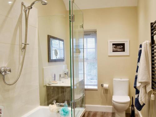a bathroom with a shower and a toilet and a sink at Nevadd - Uk12303 in Menai Bridge