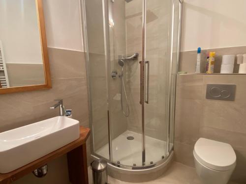 une salle de bain avec une douche, des toilettes et un lavabo dans l'établissement Superbe duplex face aux pistes, sud, 8 pers, 3 ch, balcon, parking, proche commerces - FR-1-445-198, à Montgenèvre