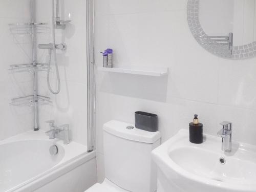 a white bathroom with a toilet and a sink at Kingford Lodge in High Bickington
