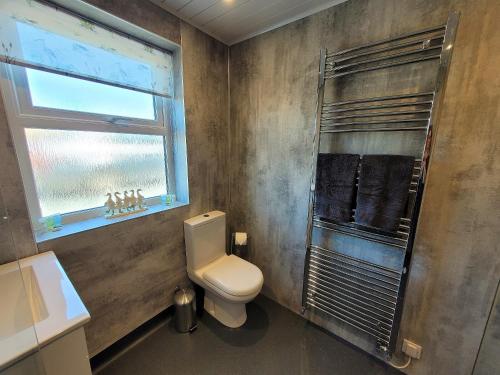 a bathroom with a toilet and a shower at Garrarie Cottage in Monreith