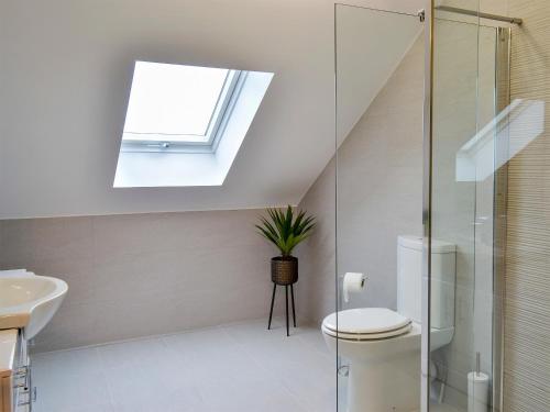 a bathroom with a toilet and a sink and a skylight at Wheatfield House in Kilmaurs