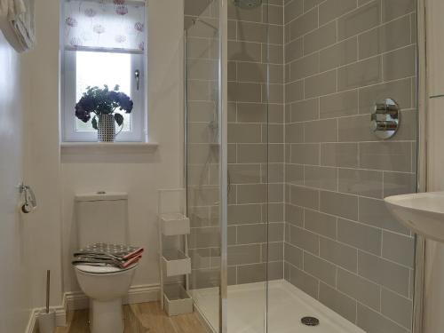 a bathroom with a shower and a toilet and a sink at The Nook At Balcary in Auchencairn