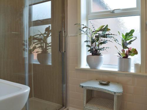 a bathroom with potted plants in a window with a shower at Turnstone House in Gorleston-on-Sea