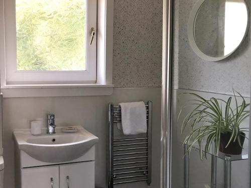 un bagno con lavandino, specchio e pianta di Finlaggan Apartment a Oban