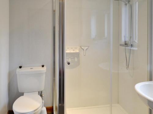 a bathroom with a shower and a toilet and a sink at The Old Dye House in Hallin