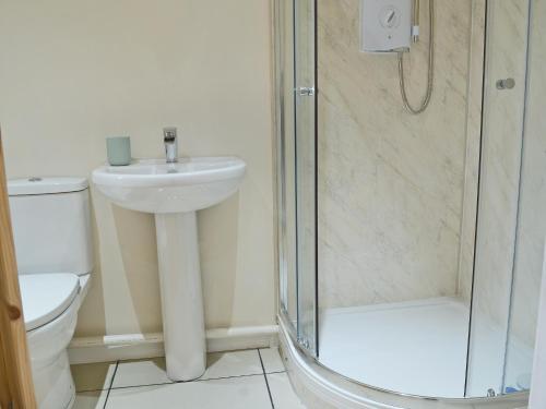 uma casa de banho com um WC, um lavatório e um chuveiro em Stonechat Barn em Pancrasweek