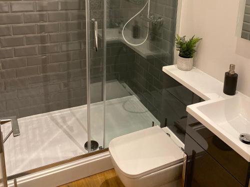 een badkamer met een douche, een toilet en een wastafel bij Pointer Cottage in Preesall