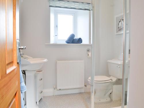 a bathroom with a toilet and a sink and a window at Stanegate Cottage in Greenhead