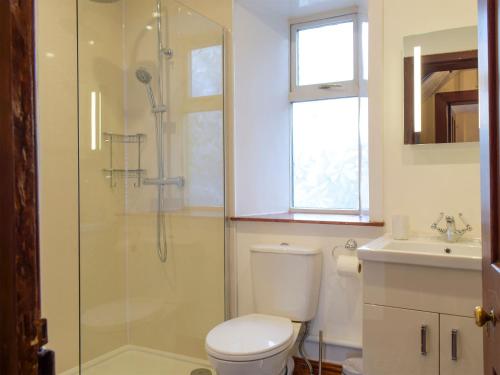 a bathroom with a shower and a toilet and a sink at Llantysilio Lodge in Llangollen