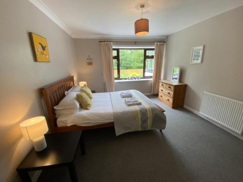 1 dormitorio con cama y ventana en West Lodge - Uk7137 en Newton Stewart