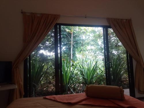 a bedroom with a bed and a large window at Hotel San Rafael Ecolodge in San Gerardo