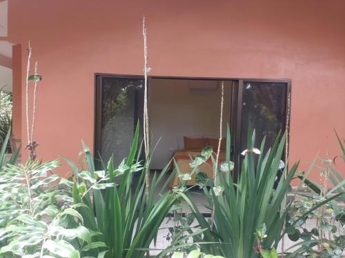 a house with plants in front of a window at Hotel San Rafael Ecolodge in San Gerardo