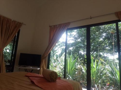 a bedroom with a bed and a large window at Hotel San Rafael Ecolodge in San Gerardo
