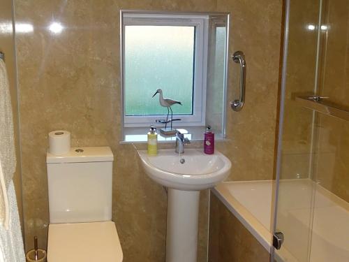 uma casa de banho com um lavatório e um pássaro numa janela em Charlies Cottage em Muasdale