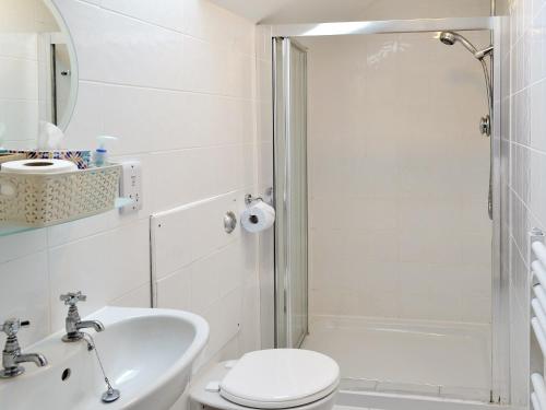 een badkamer met een wastafel, een toilet en een douche bij Ferguson in Warenford