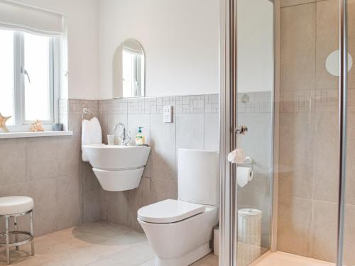 a bathroom with a toilet and a sink and a shower at Trondra House in Ferryside