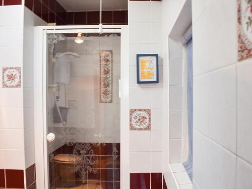 a bathroom with a shower and a toilet at Bryn Amlwg in Llanrwst