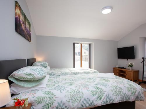 a bedroom with two beds and a television in it at Poppy Cottage - Uk31296 