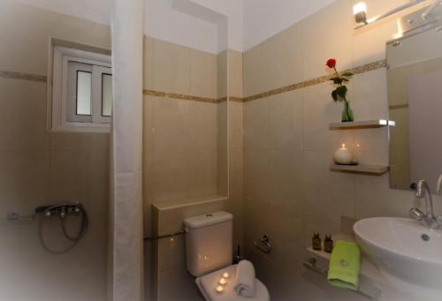 a bathroom with a toilet and a sink at Voula Apartments in Mytikas