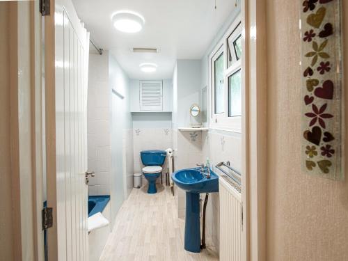 a bathroom with a blue sink and a toilet at Frondeg in Aberaeron