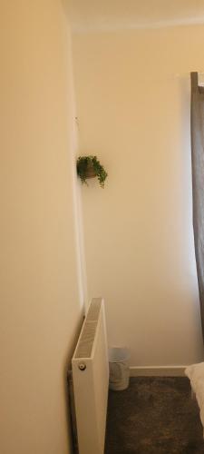 ein Badezimmer mit einem WC und einer Pflanze an der Wand in der Unterkunft 21 Decent Homes in Manchester